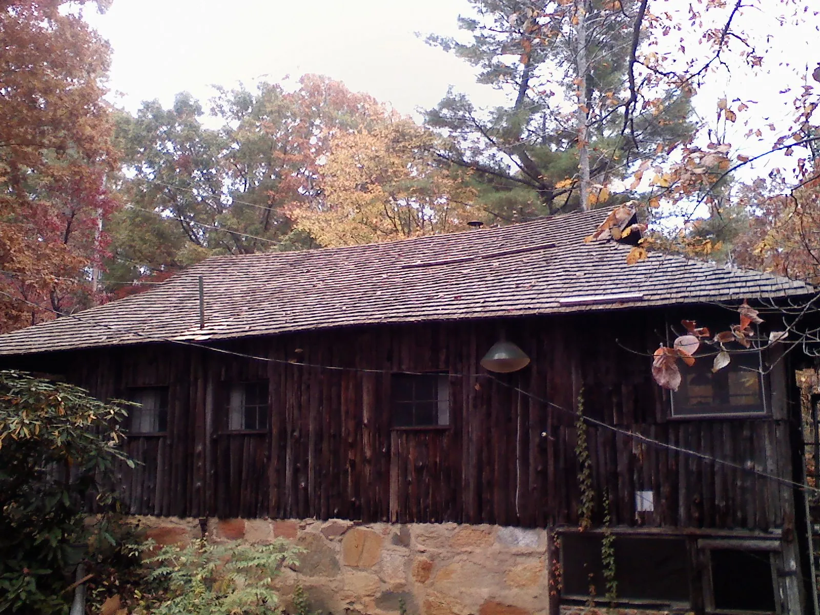 Weathered wood shake roof on a rustic board sided cabin in Tully